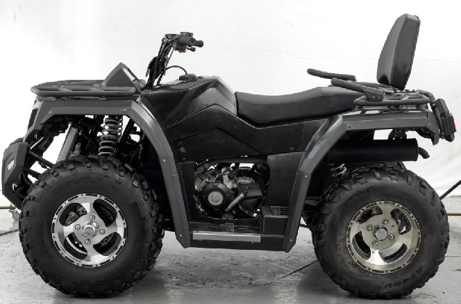 Geon Tactic 250 EFI (2019)