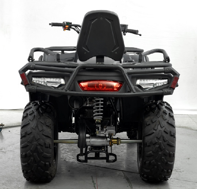 Geon Tactic 250 EFI (2019)
