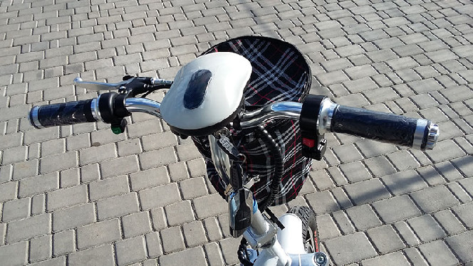 Электросамокат (электроскутер) Motoleader ML500E