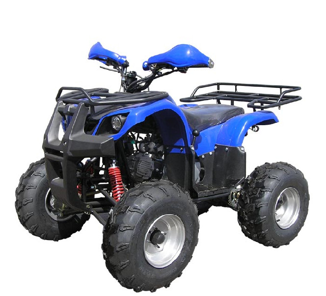 SkyMoto Panda 110 (2x4) - синий
