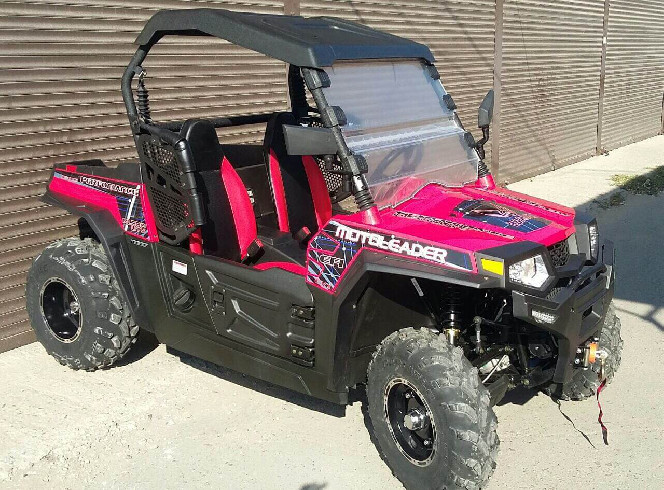 Баггі RZR ML 300 UTV