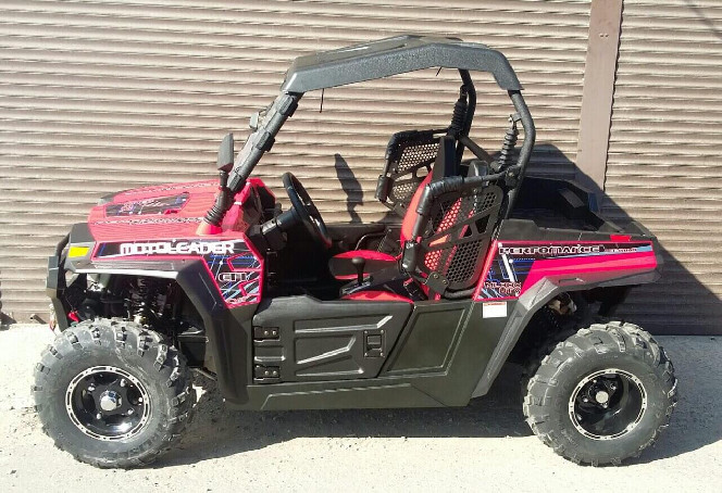 Баггі RZR ML 300 UTV