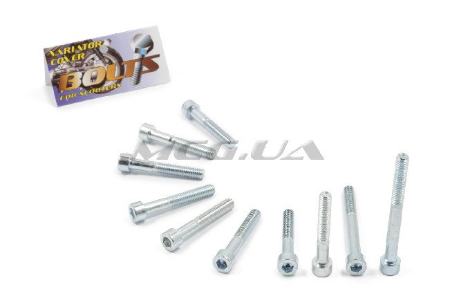Болты крышки вариатора 4T GY6 150 (шестигранный шлиц, 10шт) 