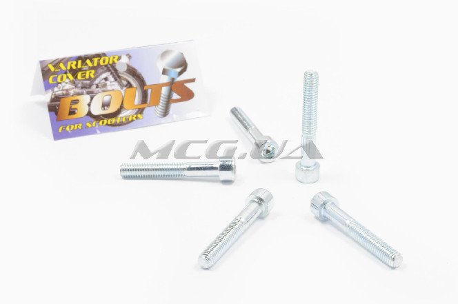 Болты крышки вариатора Honda TACT 16/24/30 (шестигранный шлиц, 5шт) 