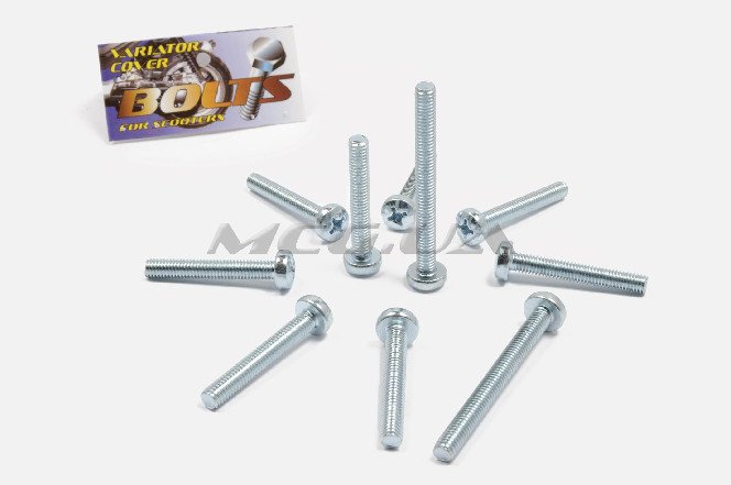 Болты крышки вариатора Suzuki AD50 (шестигранный шлиц, 7шт) 