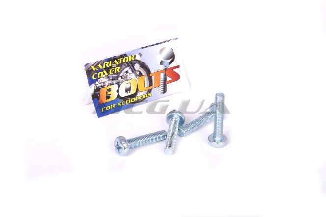 Болты крышки вариатора Suzuki LET'S (крестообразный шлиц, 4шт) 