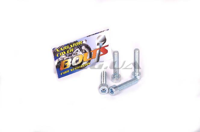Болты крышки вариатора Suzuki LET'S (шестигранный шлиц, 4шт) 