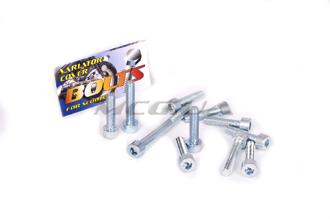 Болты крышки вариатора Yamaha (шестигранный шлиц, 11шт) 
