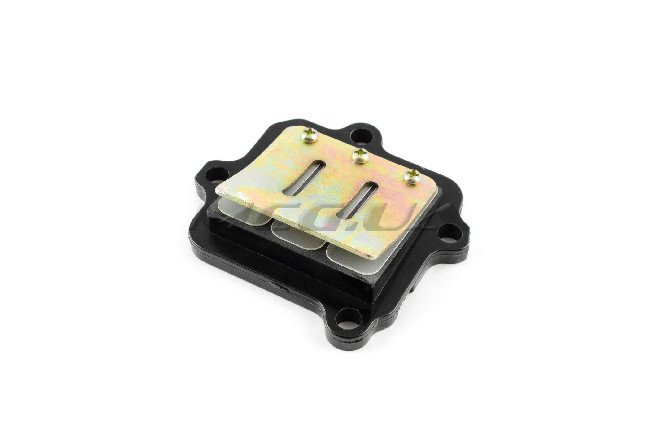Лепестковый клапан 2T Stels 50 (1E40QMB)