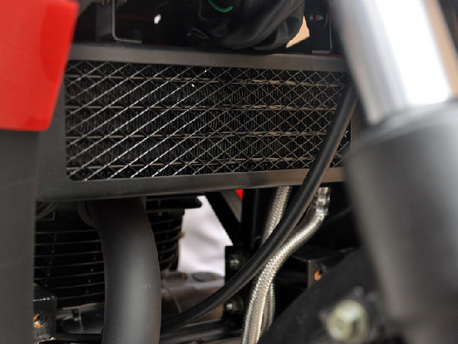 Viper V250-R1