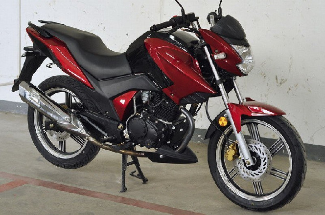 Bashan PILOT 250