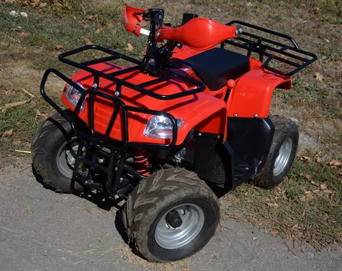 SkyBike Puma 110 (2x4)