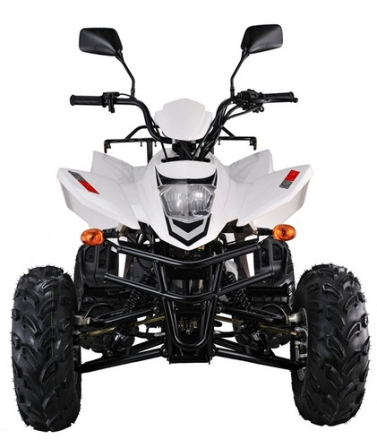 SkyBike Stinger 150