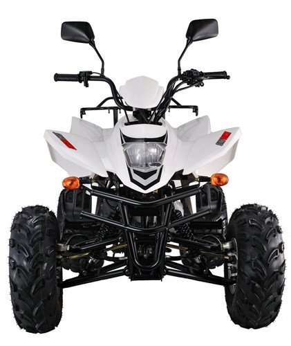 SkyBike Stinger 150