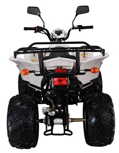 SkyBike Stinger 150