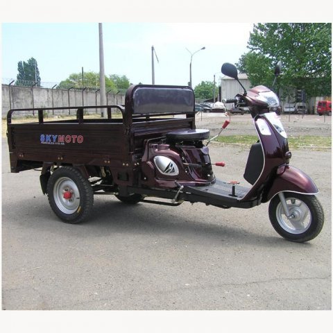 SkyMoto HERCULES - 110 6A