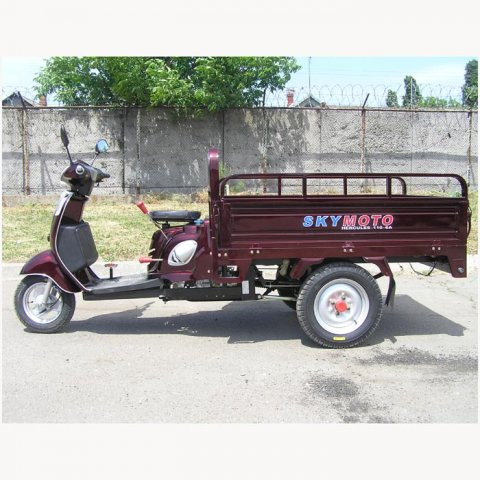 SkyMoto HERCULES - 110 6A
