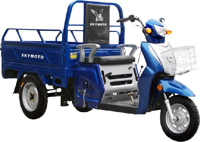 SkyMoto HERCULES - 110 6A