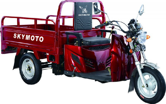 SkyMoto HERCULES – 110B