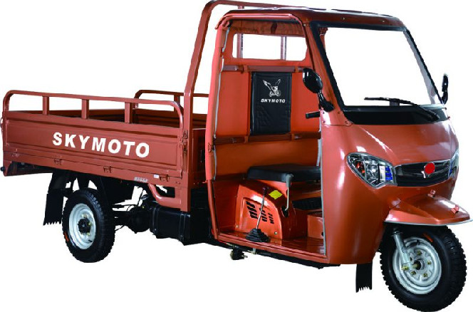 SkyMoto HERCULES 200-J3