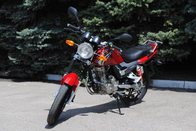 SkyMoto BIRD X5