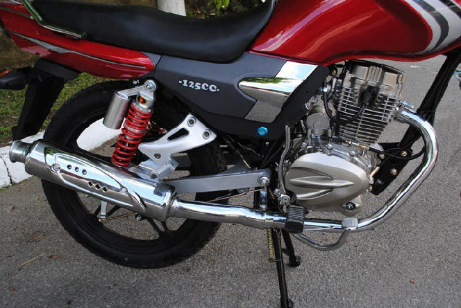 SkyMoto BIRD X5