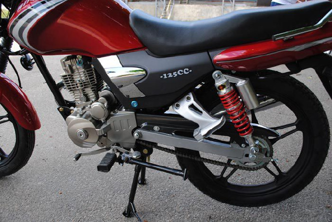 SkyMoto BIRD X5