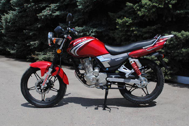 SkyMoto BIRD X5