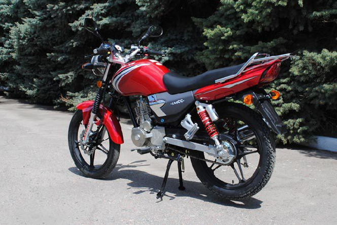 SkyMoto BIRD X5