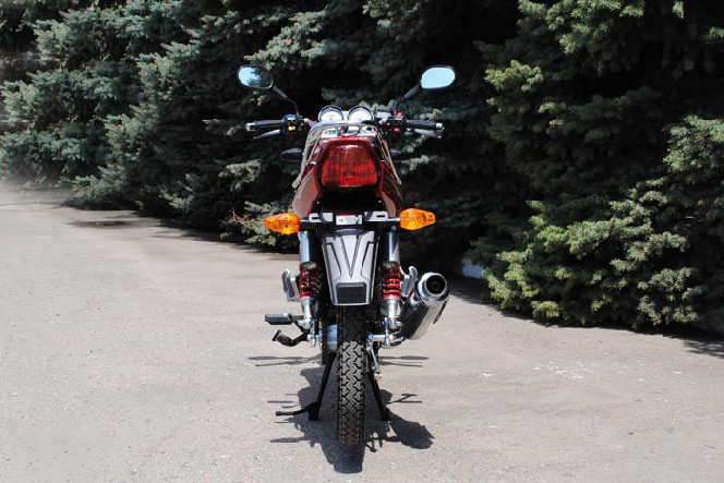 SkyMoto BIRD X5