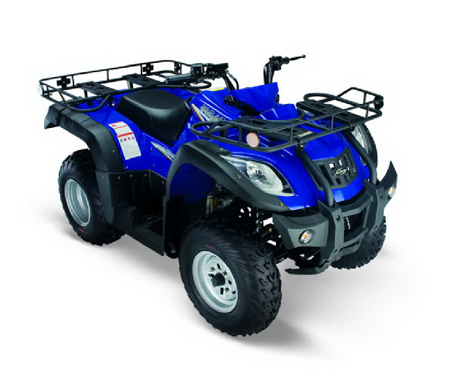 Jianshe 250 ATV-5 Wild Cat Синий