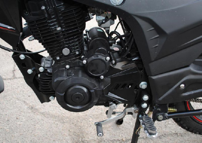 SkyMoto BIRD Х6 200