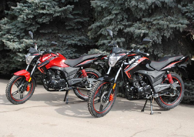 SkyMoto BIRD Х6 200