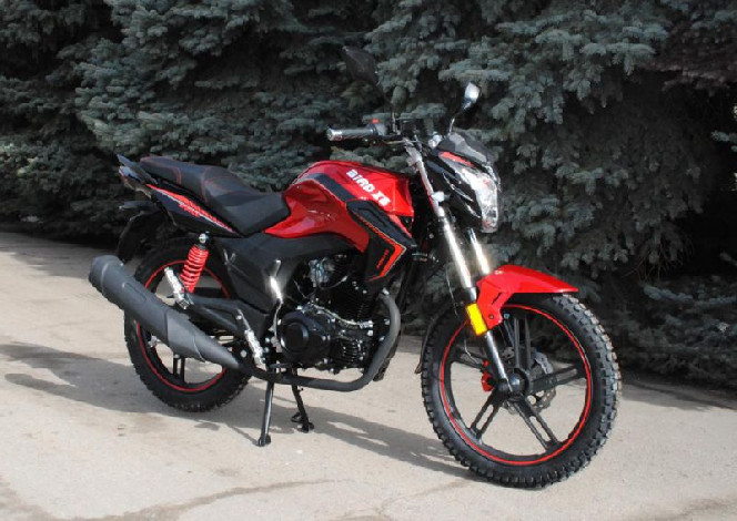 SkyMoto BIRD Х6 200