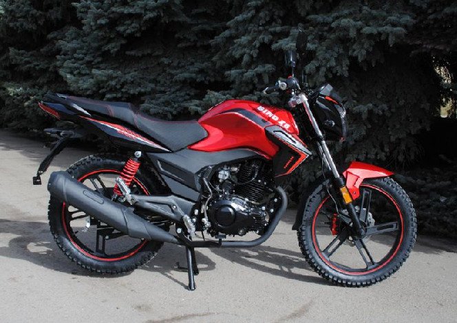 SkyMoto BIRD Х6 200