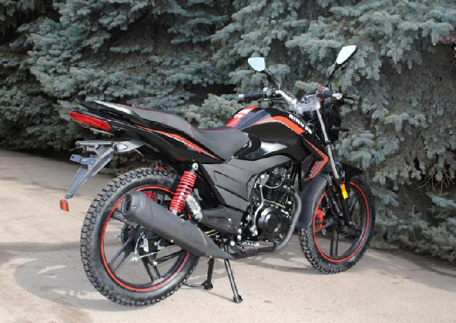 SkyMoto BIRD Х6 150