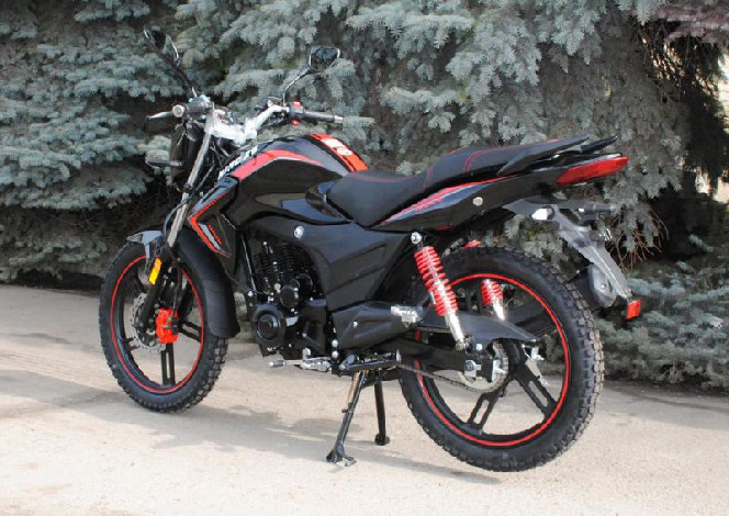 SkyMoto BIRD Х6 150