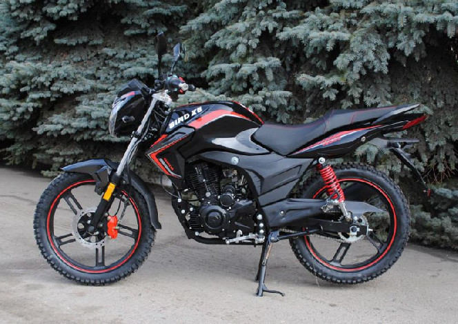 SkyMoto BIRD Х6 150