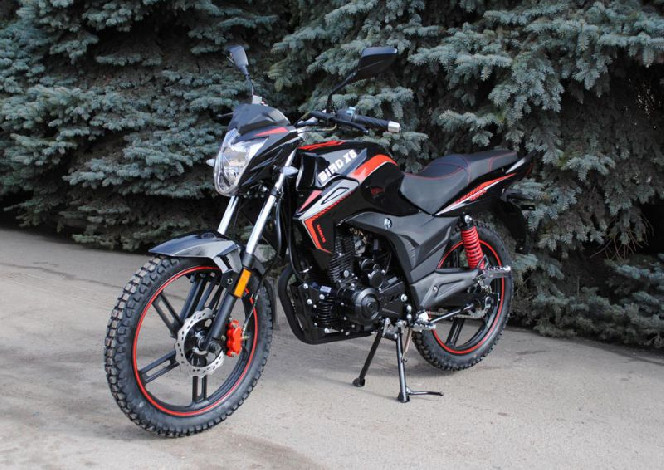 SkyMoto BIRD Х6 150