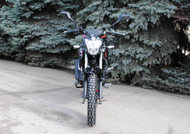 SkyMoto BIRD Х6 150