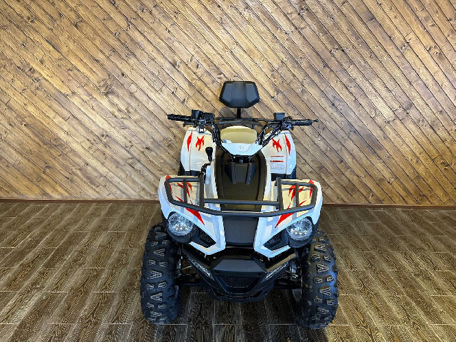 Linhai Z180