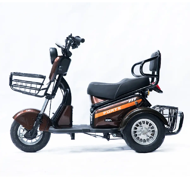 Електротрицикл FORTE S1-P600