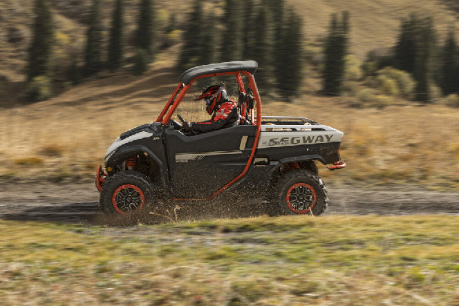 Баггі SEGWAY FUGLEMAN UTV 1000 U2