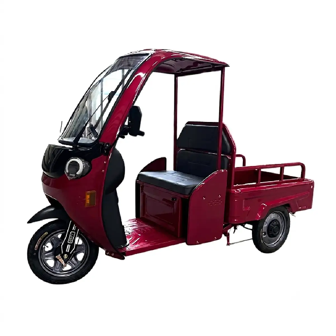 Электротрицикл вантажний FORTE DW1200-1-1