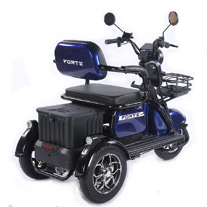 Електротрицикл FORTE FAMILY-WN1072