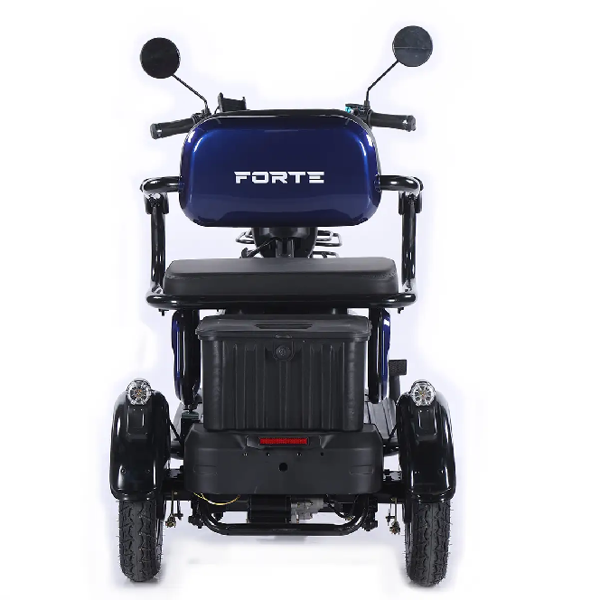 Електротрицикл FORTE FAMILY-WN1072