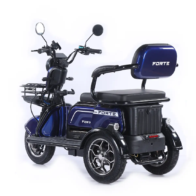 Електротрицикл FORTE FAMILY-WN1072