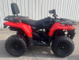 Квадроцикл FORTE ATV 200BS NEW