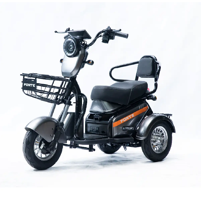 Електротрицикл FORTE S1-P600