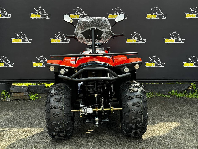 Квадроцикл LINHAI Z250 EFI